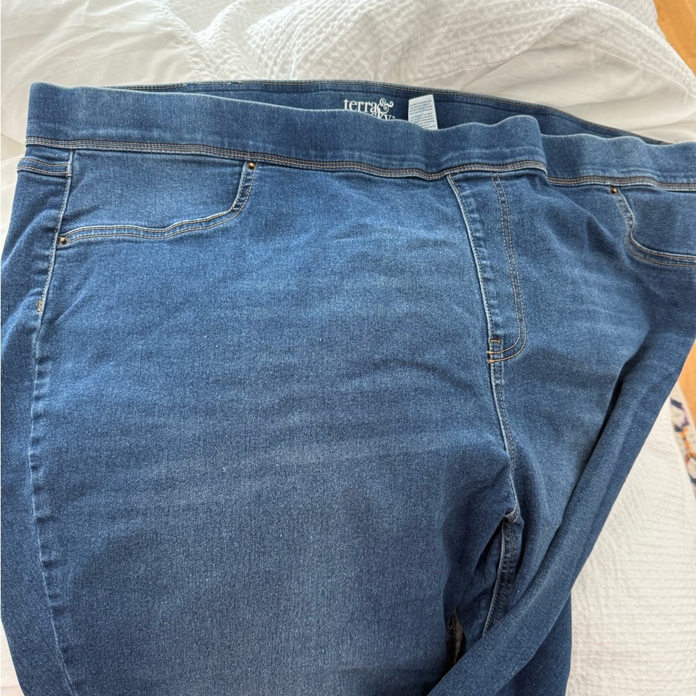Terra and sky women’s jeggings 3x